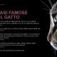 frasi-famose-sul-gatto-marcomaso
