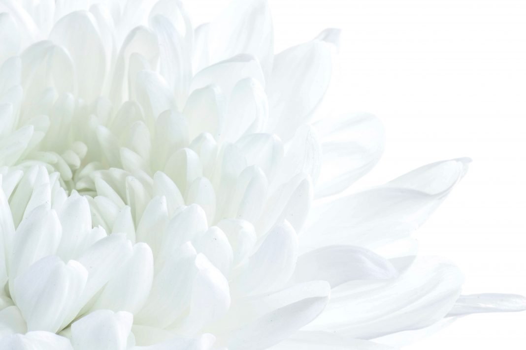 Colore bianco. Il significato. Personalità e stato d’animo